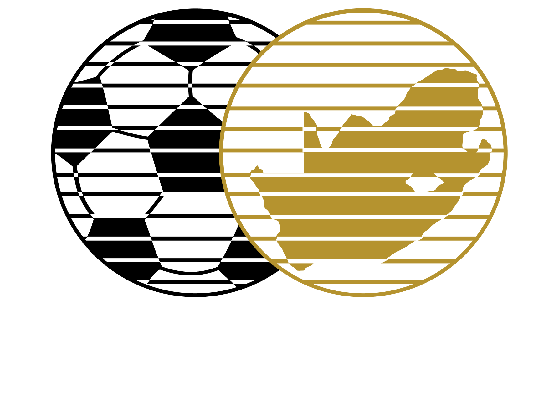 South African Football Association